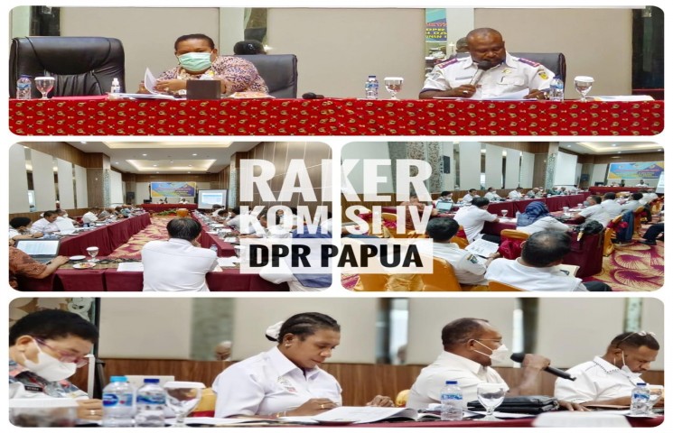Rapat Kerja Komisi IV DPR Papua bersama Mitra Kerja
